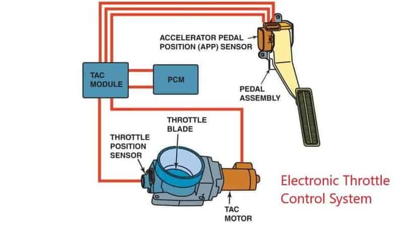 Electronic Throttle Control Light: All That You Need To Know – Rx Mechanic