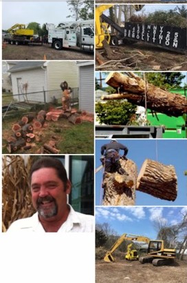 Tree Removal Services in Villas, NJ, 08251