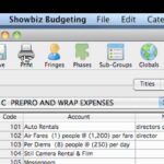 Showbiz Budgeting